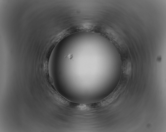 X0000098050425200803281459