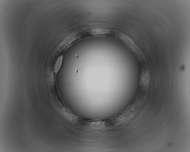 X0000098050426200803281459