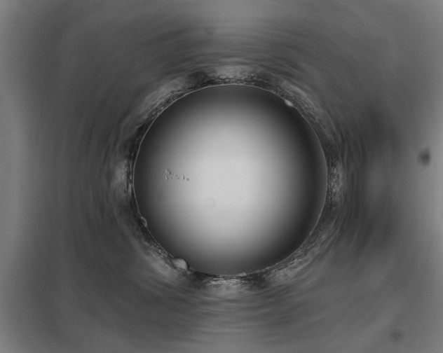 X0000098050428200803281459