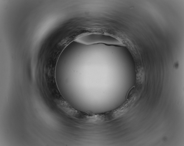 X0000098050430200803281459