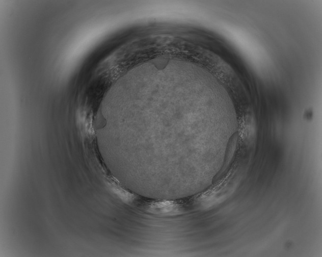 X0000098050431200803281459