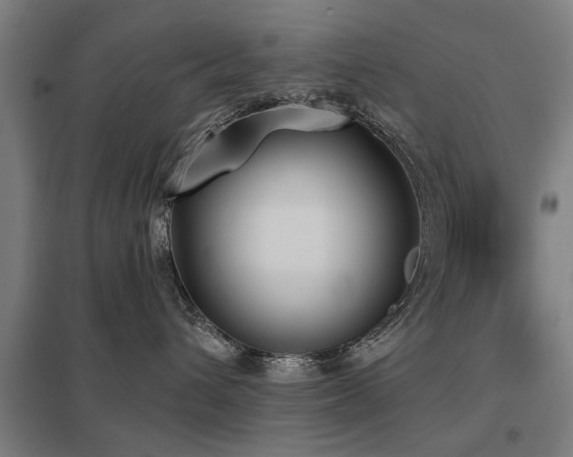 X0000098050432200803281459