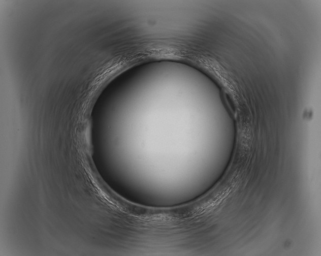 X0000098050433200803281458