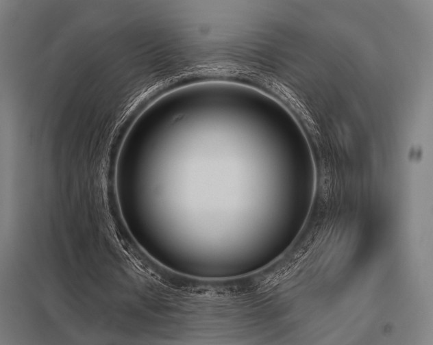 X0000098050434200803281458