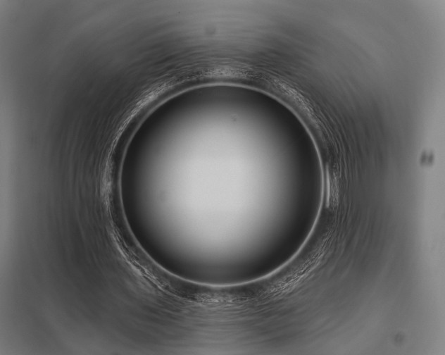 X0000098050435200803281458