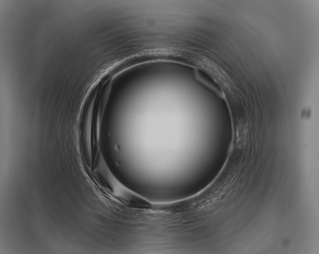 X0000098050436200803281458