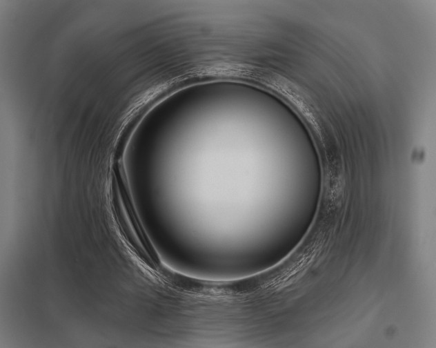 X0000098050437200803281458