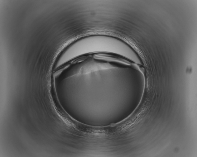 X0000098050438200803281458