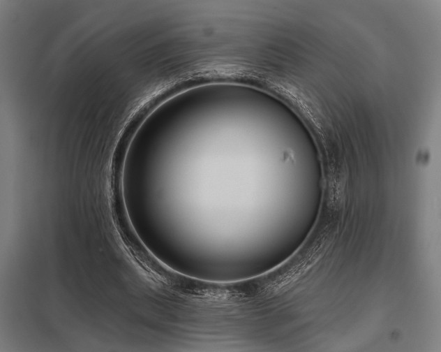 X0000098050439200803281458