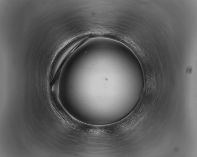 X0000098050440200803281458