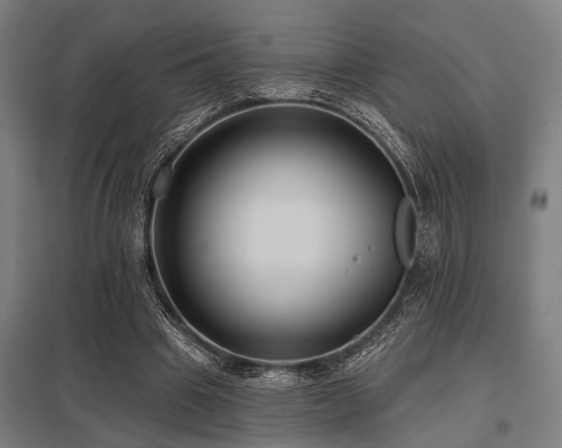 X0000098050441200803281458