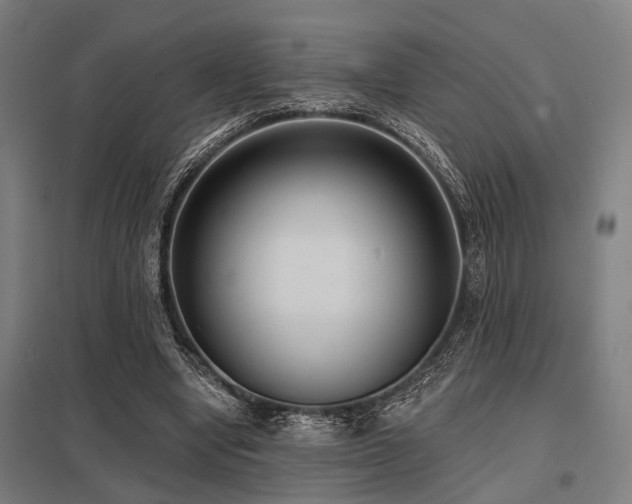 X0000098050442200803281458