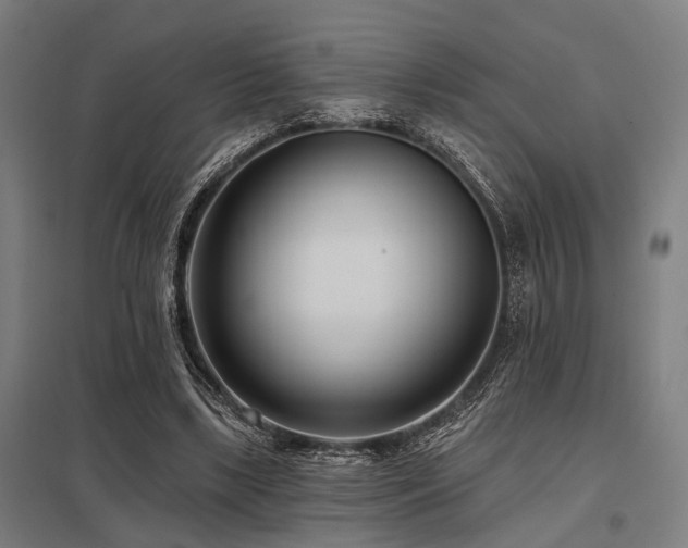 X0000098050443200803281458