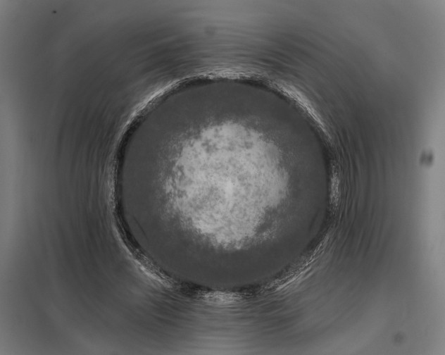 X0000098050444200803281458