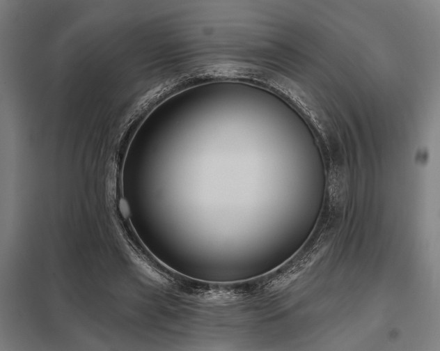 X0000098050445200803281458