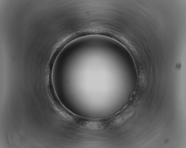 X0000098050446200803281458