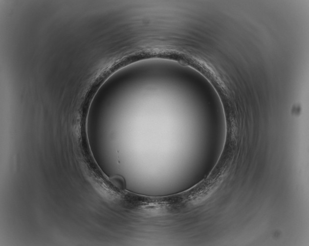 X0000098050447200803281458