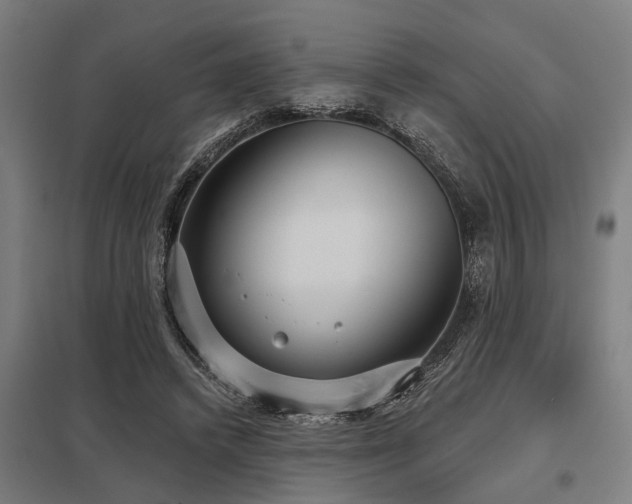 X0000098050448200803281458