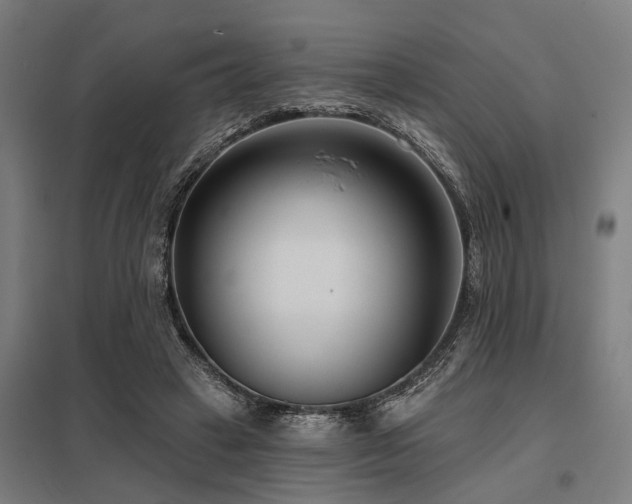 X0000098050449200803281458