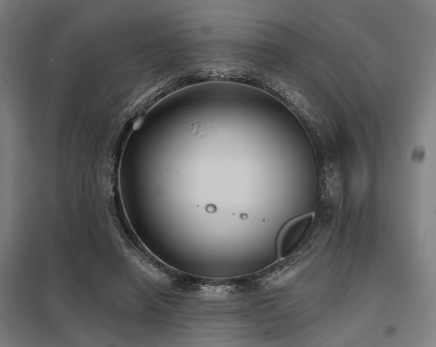 X0000098050450200803281458