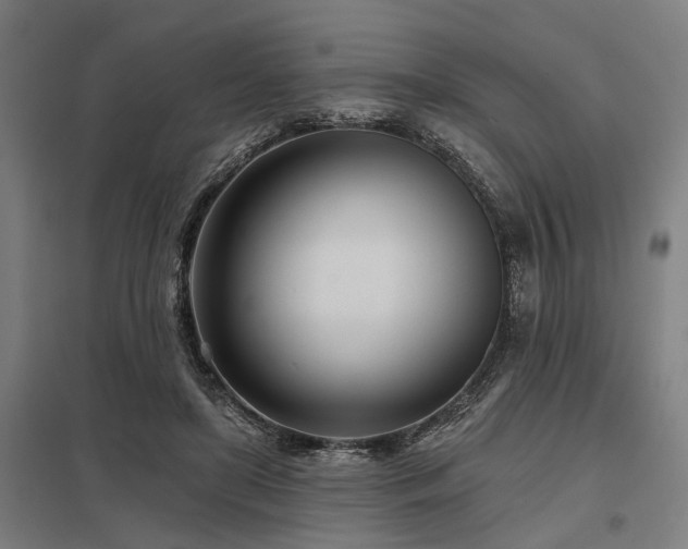 X0000098050451200803281458