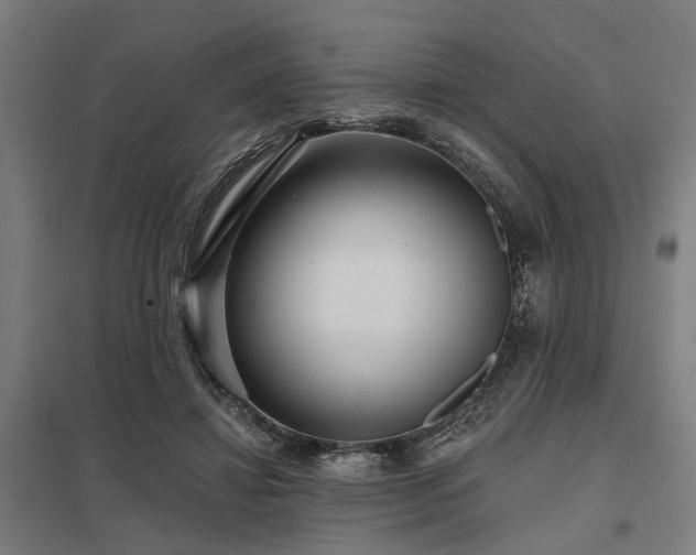 X0000098050452200803281459