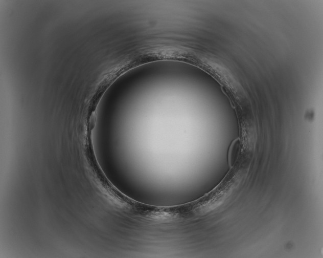 X0000098050453200803281459