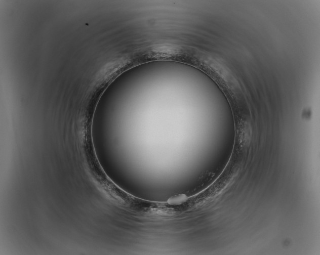 X0000098050455200803281459