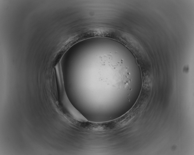 X0000098050456200803281459