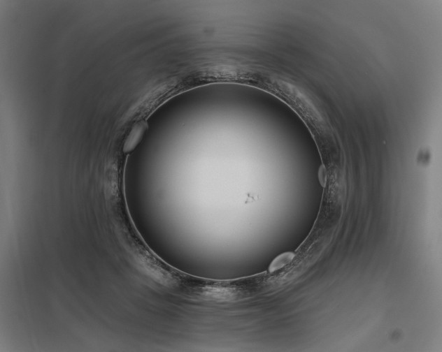 X0000098050457200803281459