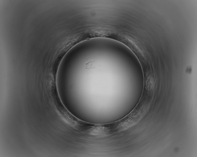 X0000098050459200803281459