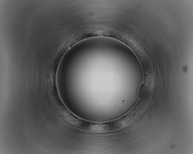 X0000098050461200803281459