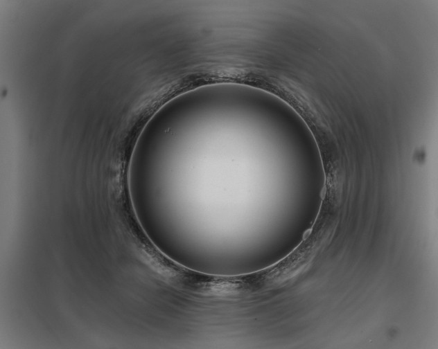 X0000098050462200803281459