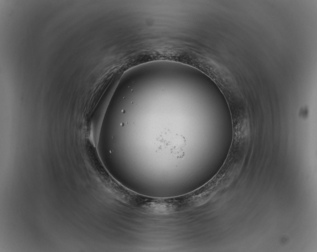 X0000098050464200803281459