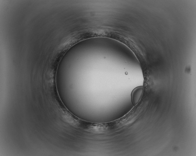 X0000098050466200803281459