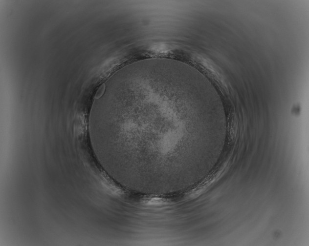 X0000098050467200803281459