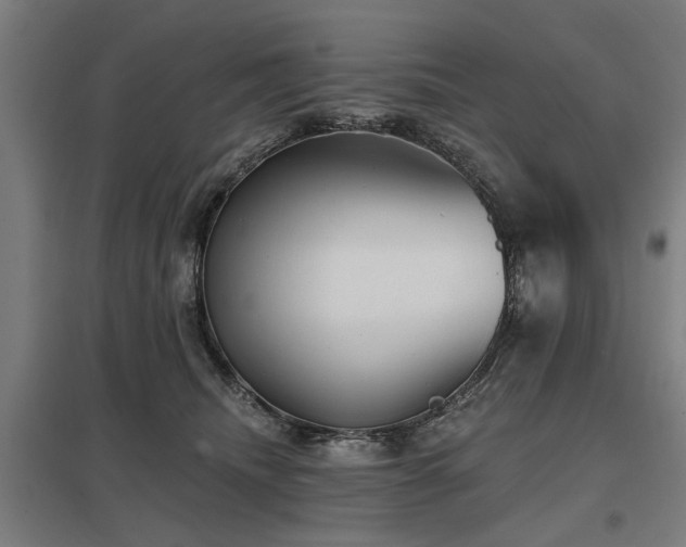 X0000098050468200803281459