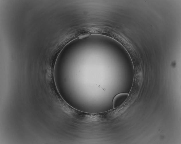 X0000098050469200803281459