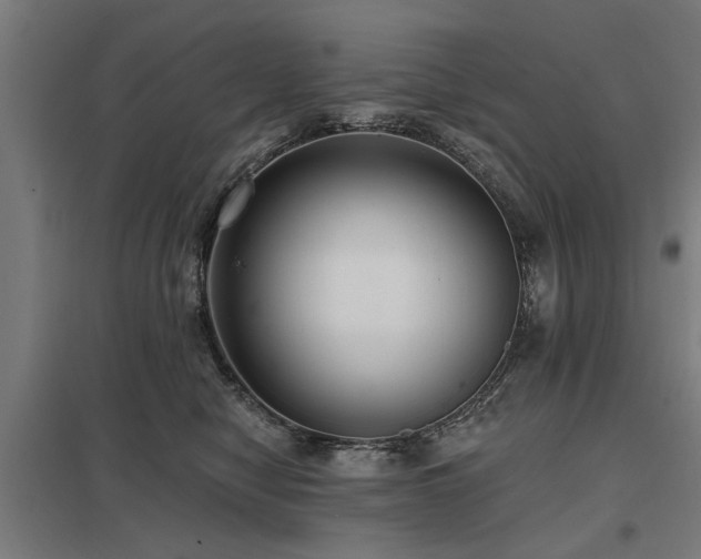 X0000098050470200803281459