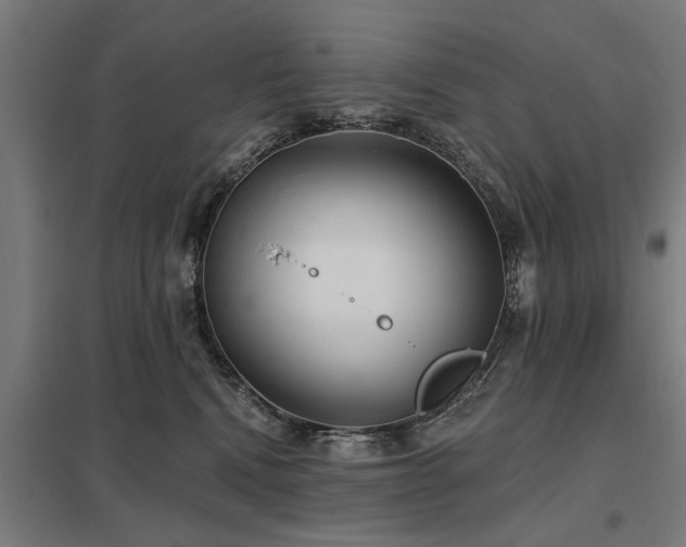 X0000098050472200803281459