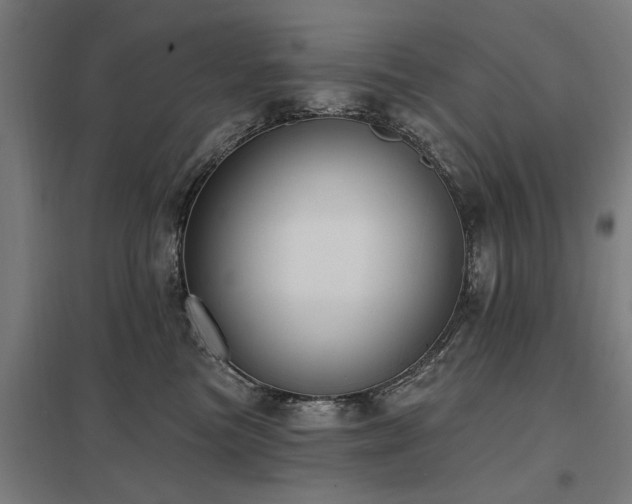 X0000098050473200803281459