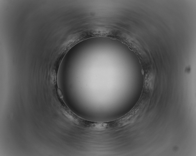 X0000098050474200803281459