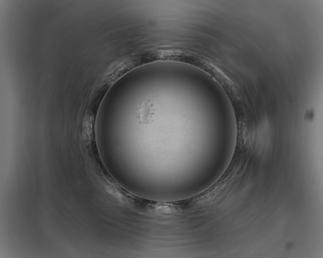 X0000098050475200803281459