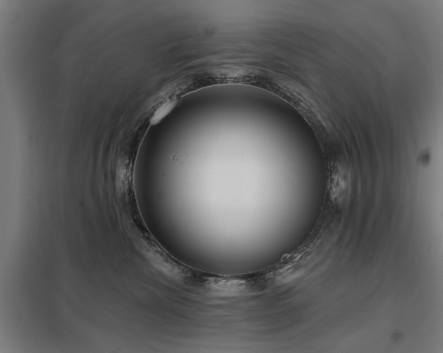 X0000098050476200803281459