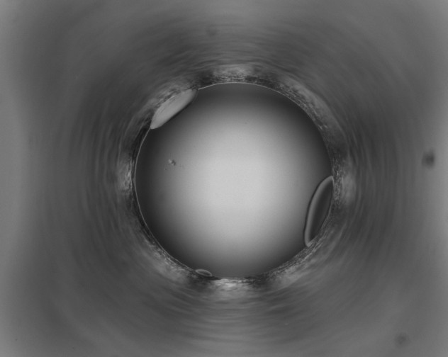 X0000098050477200803281459