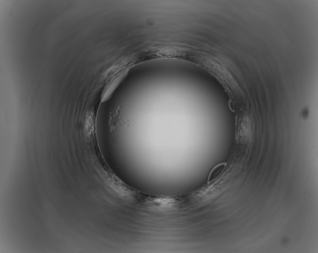 X0000098050478200803281459