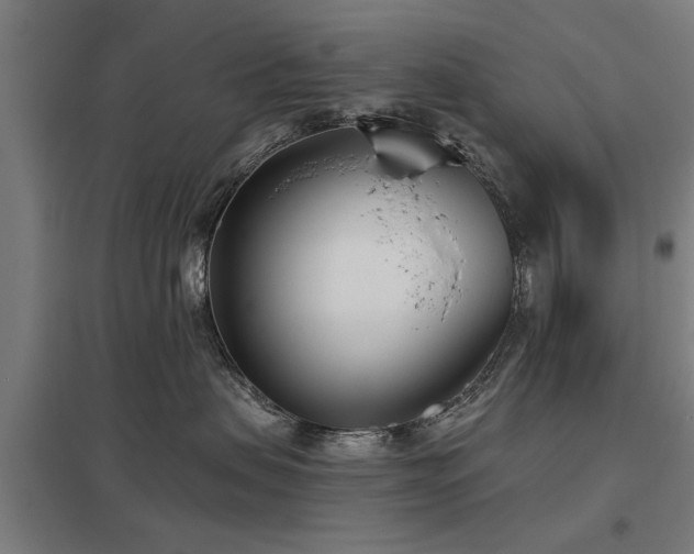 X0000098050479200803281459