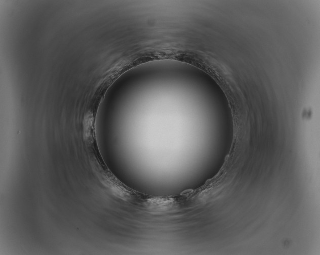 X0000098050480200803281459