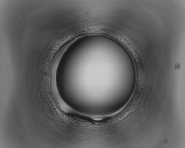 X0000098050481200803281458