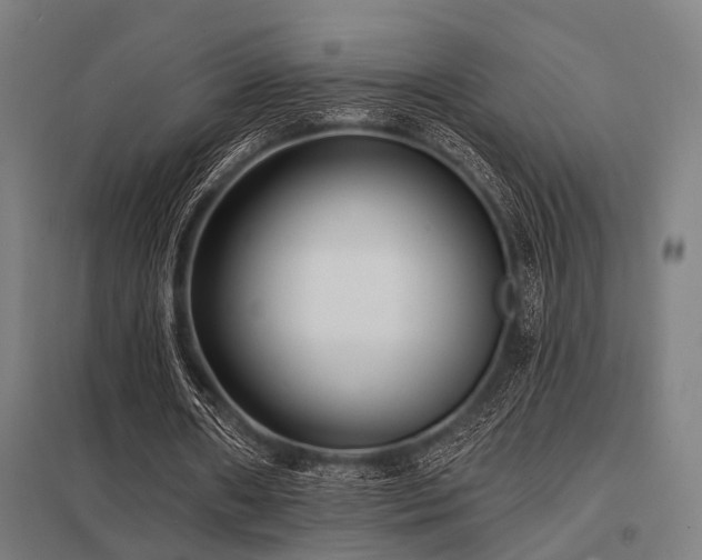 X0000098050482200803281458